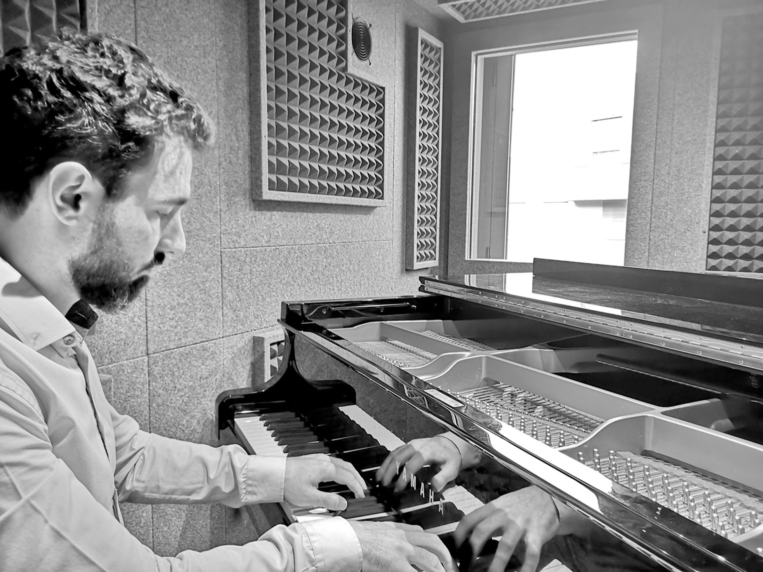 Demvox DV935 piano