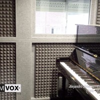 Demvox-Alejandro-Jiménez-ECO300-2