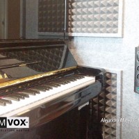 Demvox-Alejandro-Mateos-DV375-2