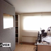 Demvox-Bernard-Neumann-ECO100-1