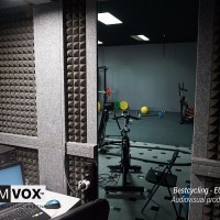 Demvox-Bestcycling-ECO300-3