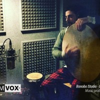 Demvox-Bonobo-Studio-DV416-9