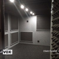 Demvox-Erlantz-Eizmendi-DV780-2