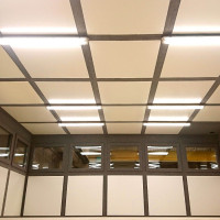 DEMVOX-Fundivisa-4