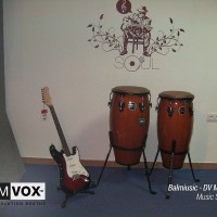 Demvox-German-Castelany-DV-models-5