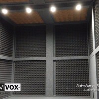 Demvox-Pedro-Ponce-ECO850-3