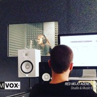 Demvox-RED-MOJO-AGENCY-ECO250-3