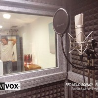 Demvox-RED-MOJO-AGENCY-ECO250-5