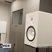 Demvox-RED-MOJO-AGENCY-ECO250-7